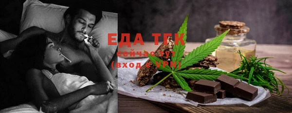 индика Краснослободск