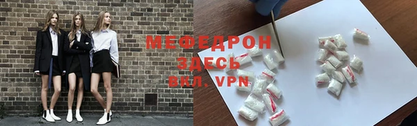 индика Краснослободск
