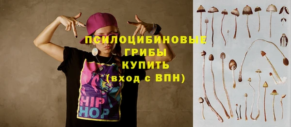 индика Краснослободск