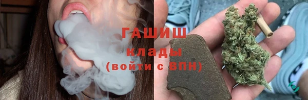 индика Краснослободск