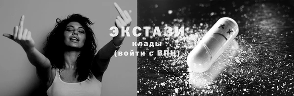 индика Краснослободск