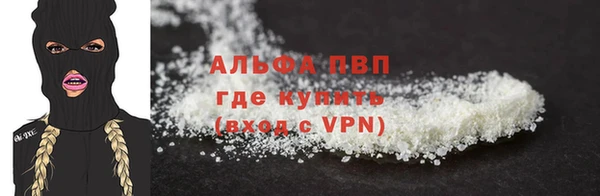 индика Краснослободск