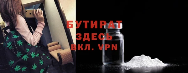индика Краснослободск