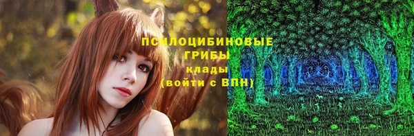 индика Краснослободск