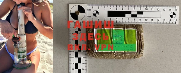индика Краснослободск