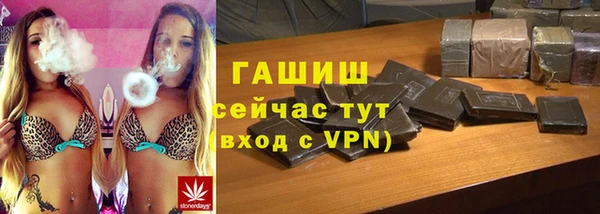 индика Краснослободск