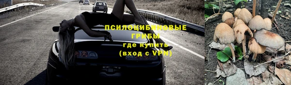мяу мяу мука Краснотурьинск