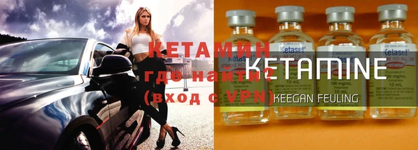 индика Краснослободск