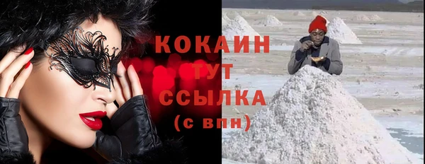 индика Краснослободск