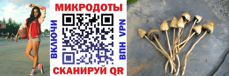 MEGA онион  Евпатория  Галлюциногенные грибы мухоморы 